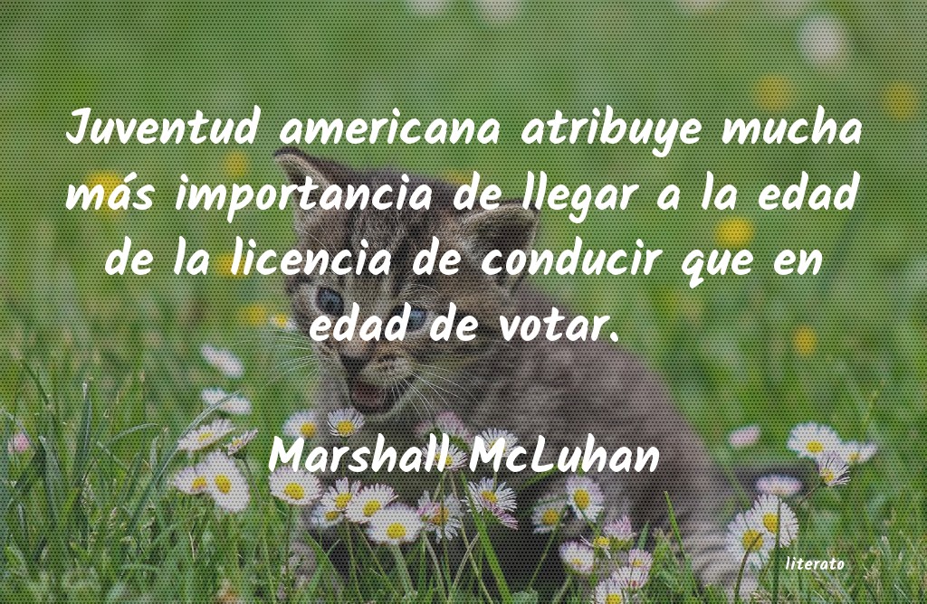 frases de Marshall McLuhan