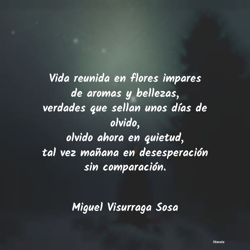 frases de Miguel Visurraga Sosa