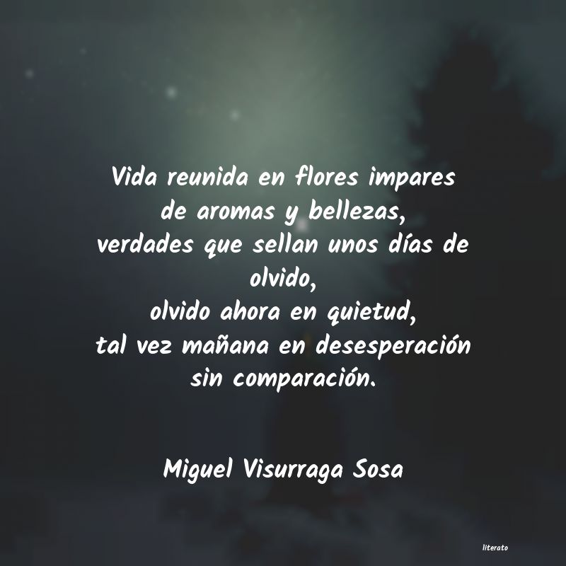 Frases de Miguel Visurraga Sosa