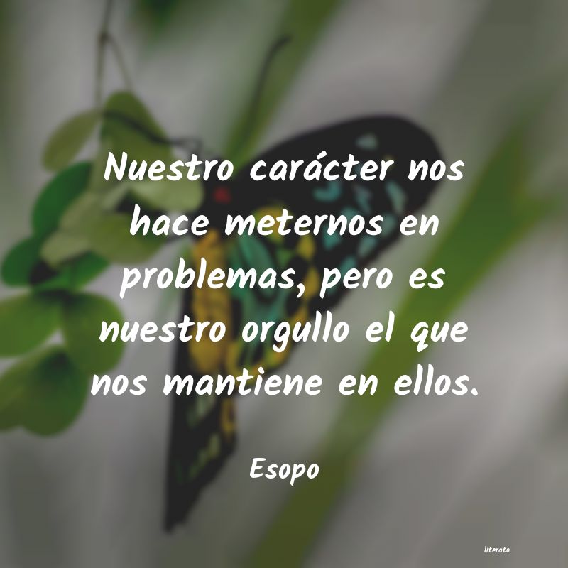 frases para resolver problemas