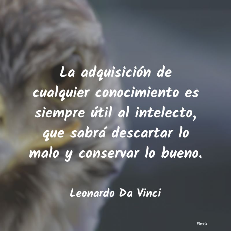 frases de Leonardo Da Vinci