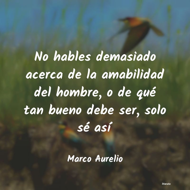 Frases de Marco Aurelio