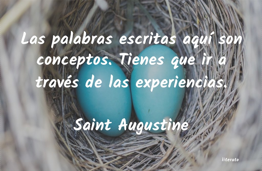 frases de Saint Augustine