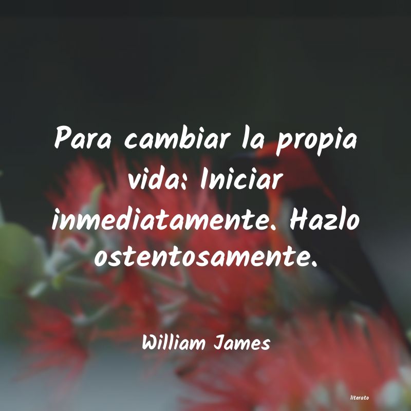 Frases de William James