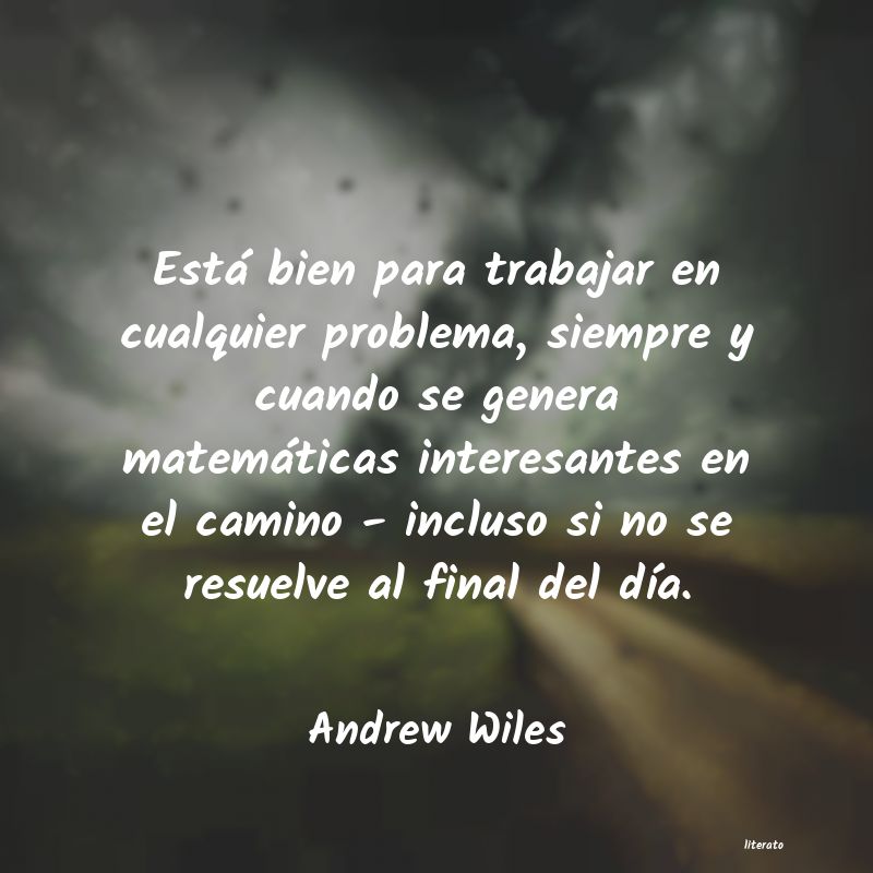 Frases de Andrew Wiles