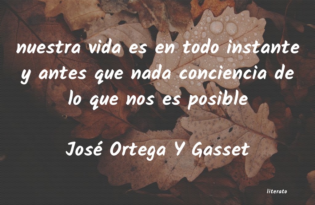 Frases de José Ortega Y Gasset