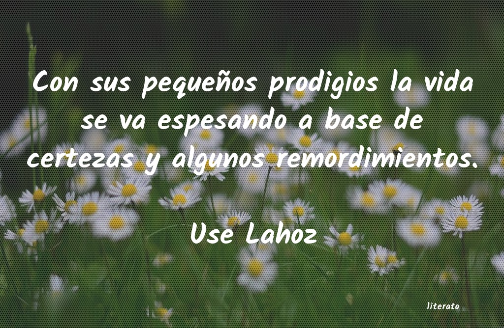 Frases de Use Lahoz