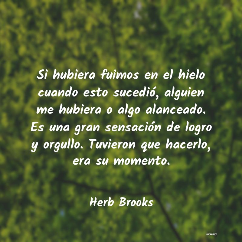 frases de Herb Brooks