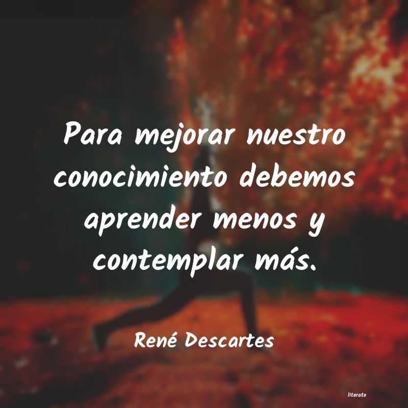 Frases de René Descartes