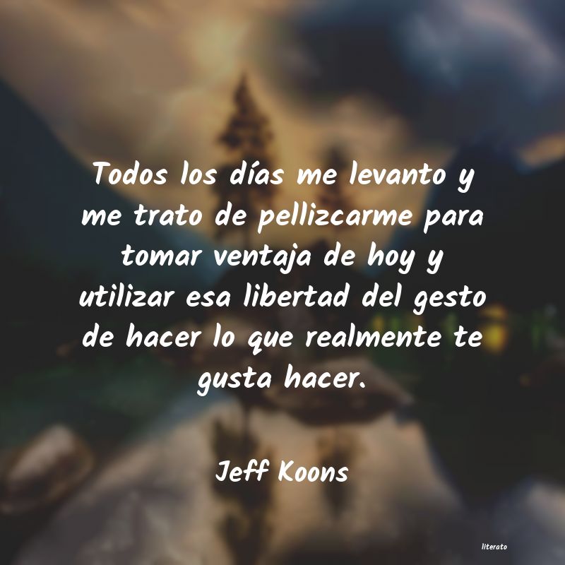 Frases de Jeff Koons