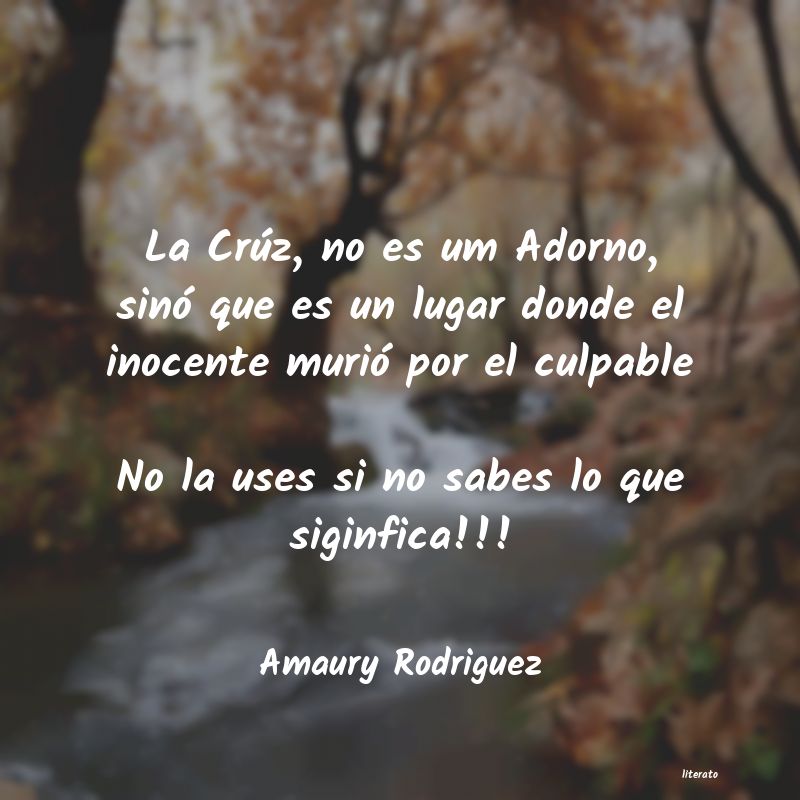 Frases de Amaury Rodriguez