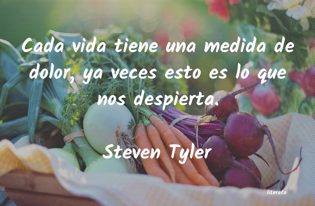 Frases de Steven Tyler