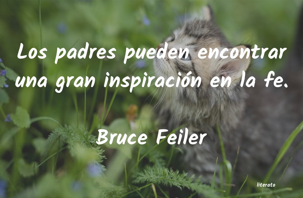 Frases de Bruce Feiler