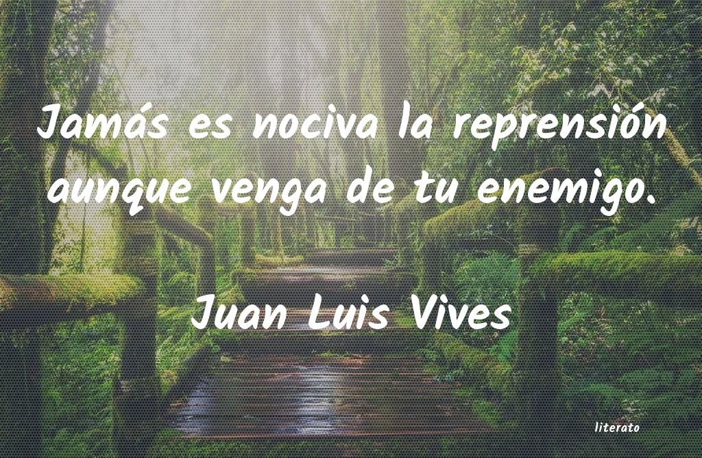 Frases de Juan Luis Vives