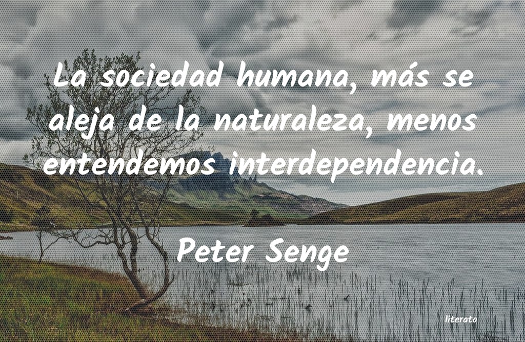 Frases de Peter Senge