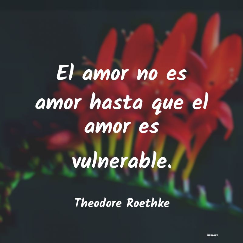 Frases de Theodore Roethke
