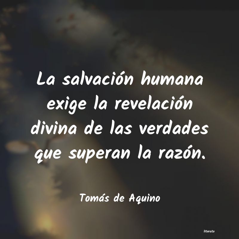 Frases de Tomás de Aquino