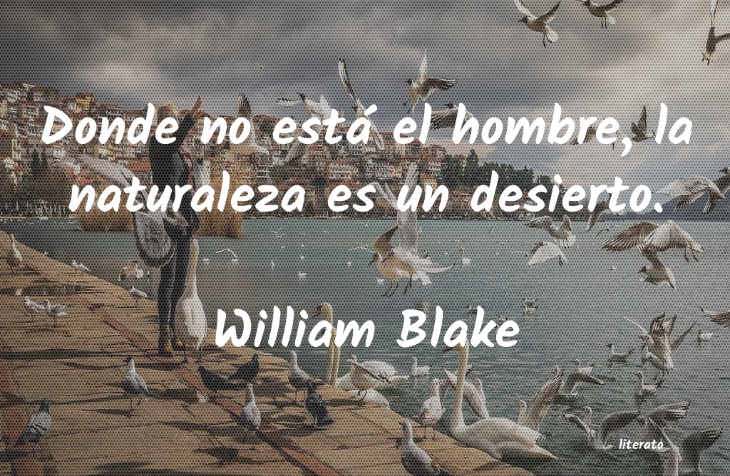 Frases de William Blake