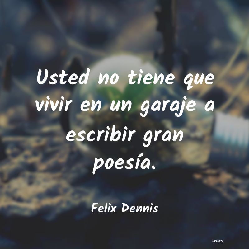 Frases de Felix Dennis