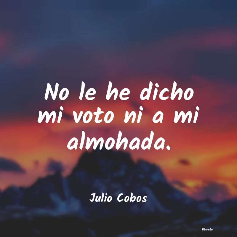 frases de Julio Cobos
