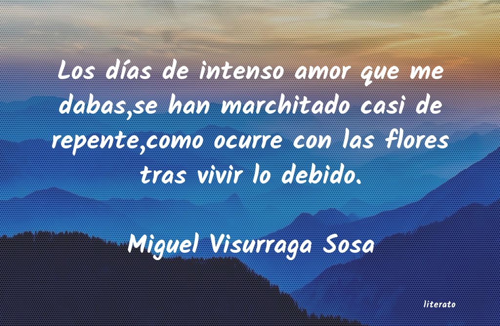 Frases de Miguel Visurraga Sosa