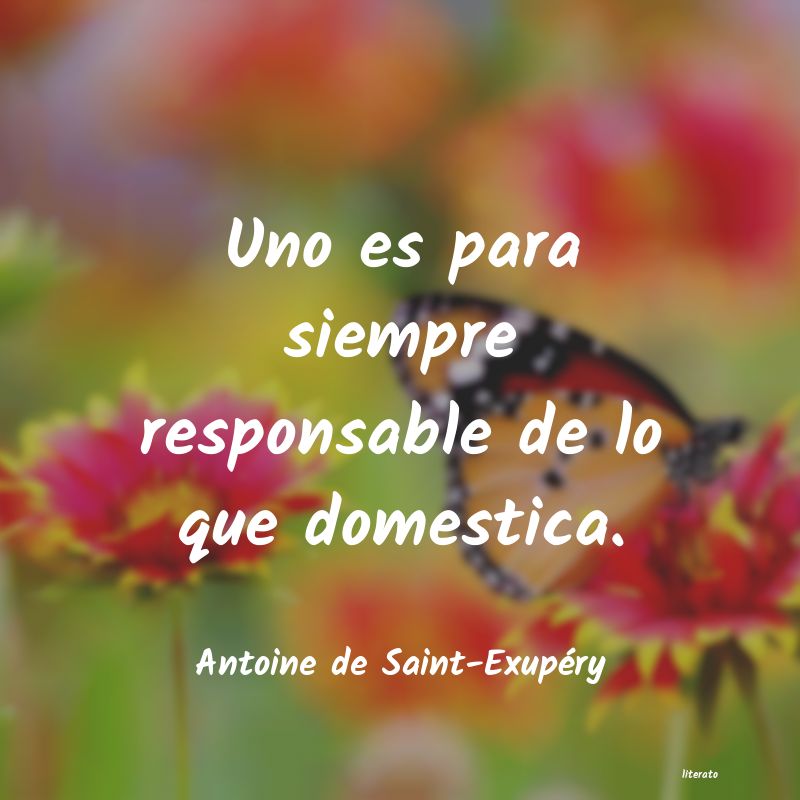 Frases de Antoine de Saint-Exupéry