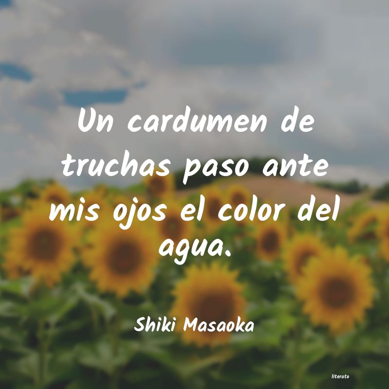 Frases de Shiki Masaoka