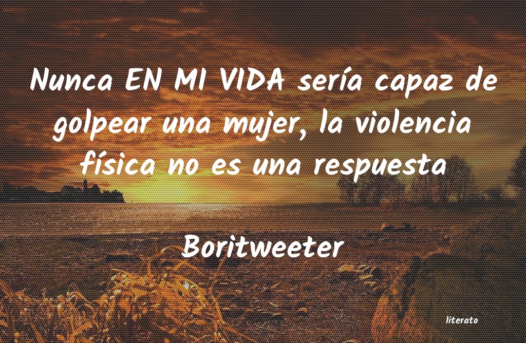 frases de Boritweeter
