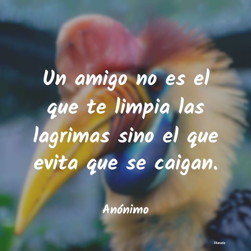 frases