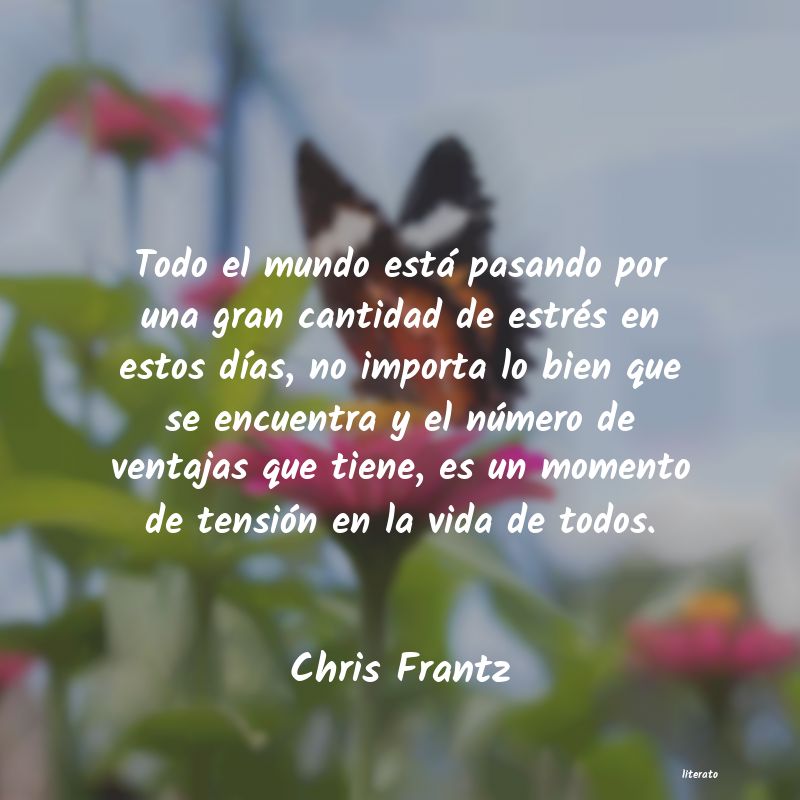 Frases de Chris Frantz