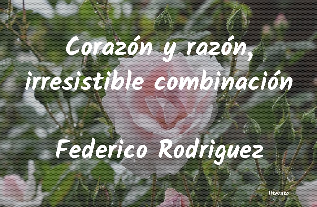 Frases de Federico Rodriguez