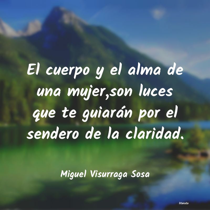 Frases de Miguel Visurraga Sosa