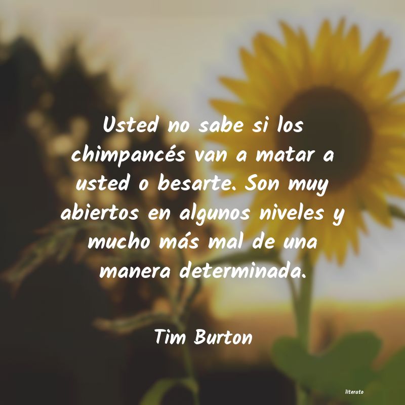 frases de Tim Burton