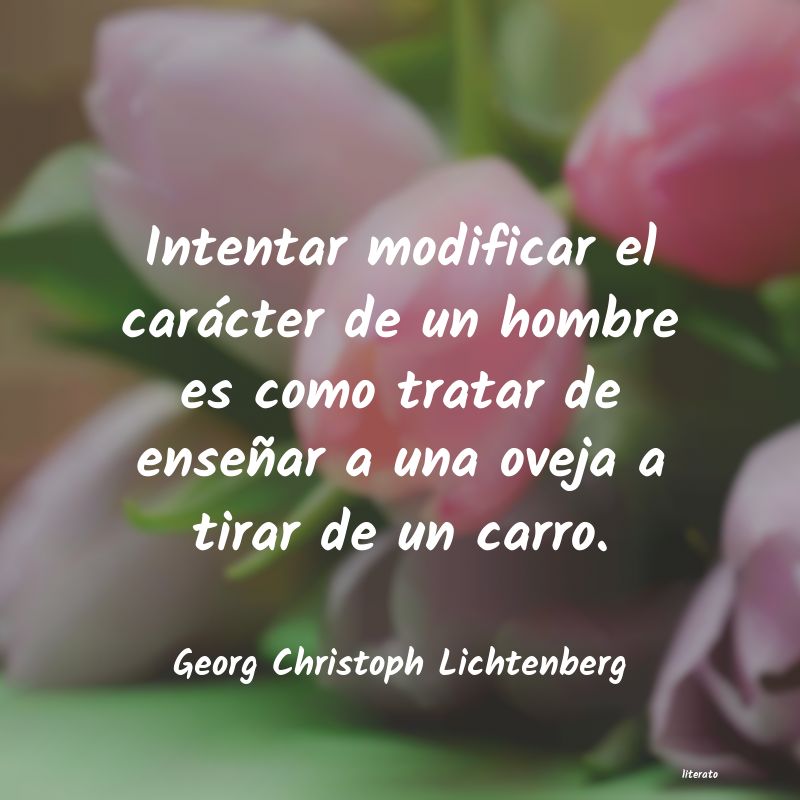 Frases de Georg Christoph Lichtenberg