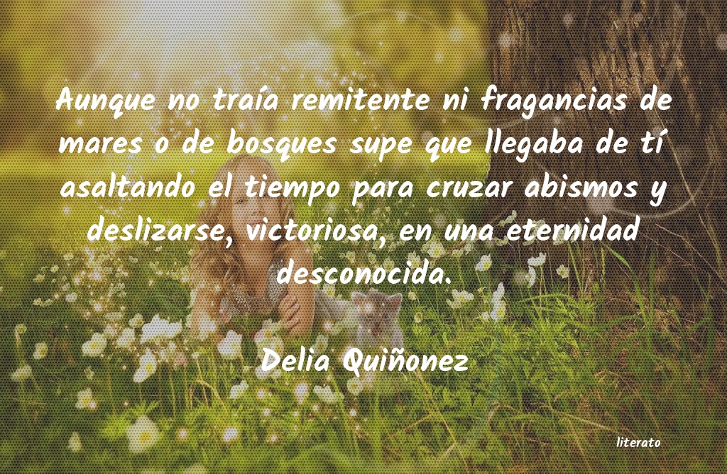 frases de Delia Quiñonez