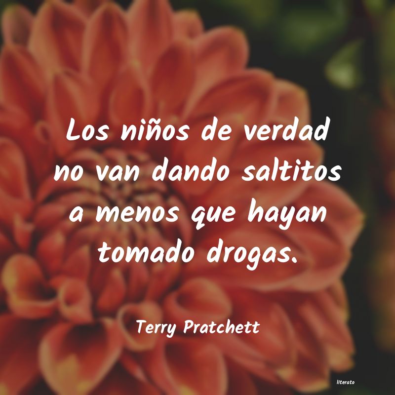 Frases de Terry Pratchett