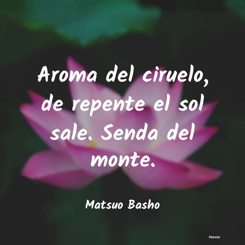 Frases de Matsuo Basho