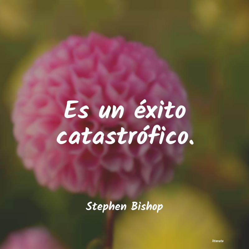 Frases de Stephen Bishop