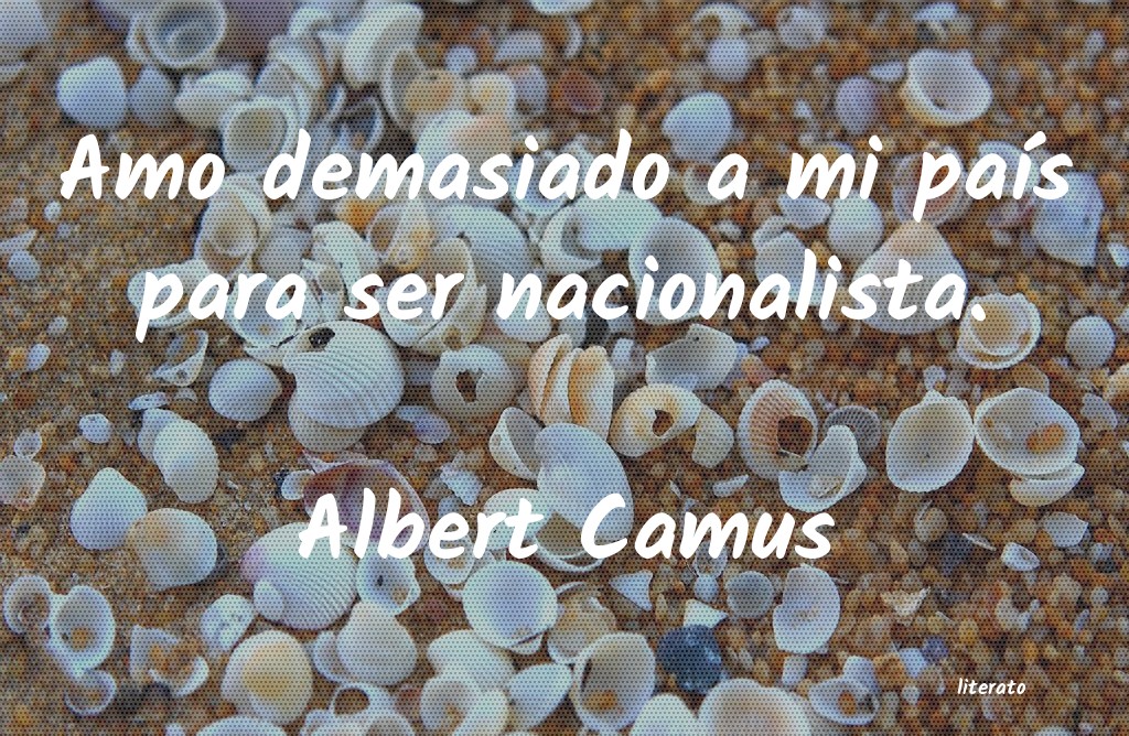 frases de Albert Camus