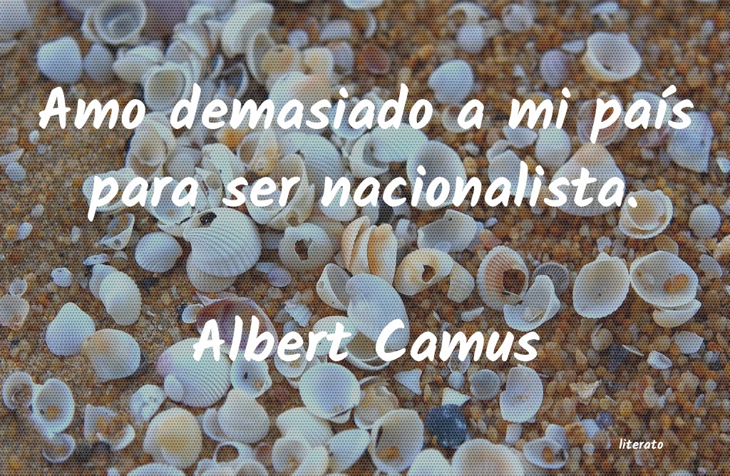 Frases de Albert Camus