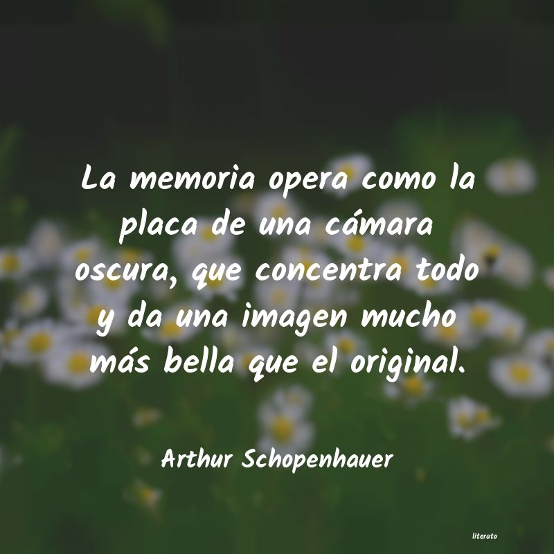 Frases de Arthur Schopenhauer