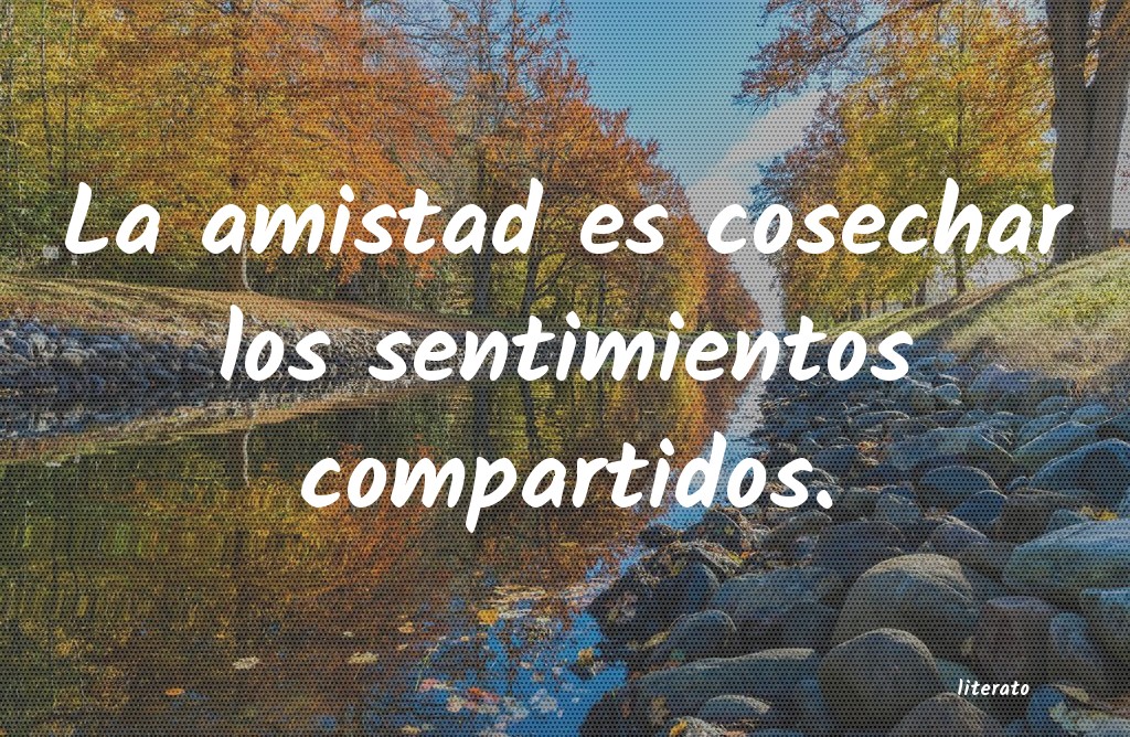 frases