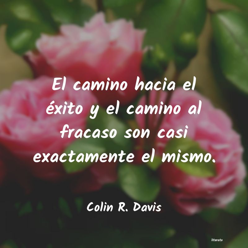 frases de Colin R. Davis
