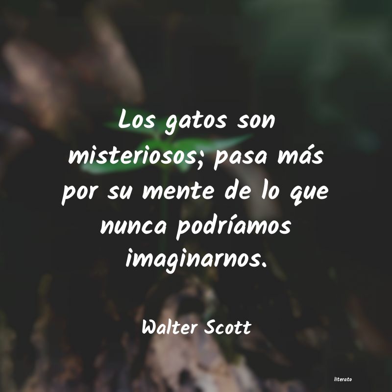 Frases de Walter Scott