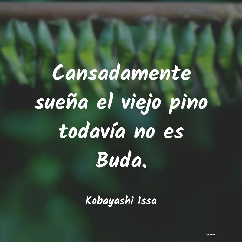 frases de Kobayashi Issa