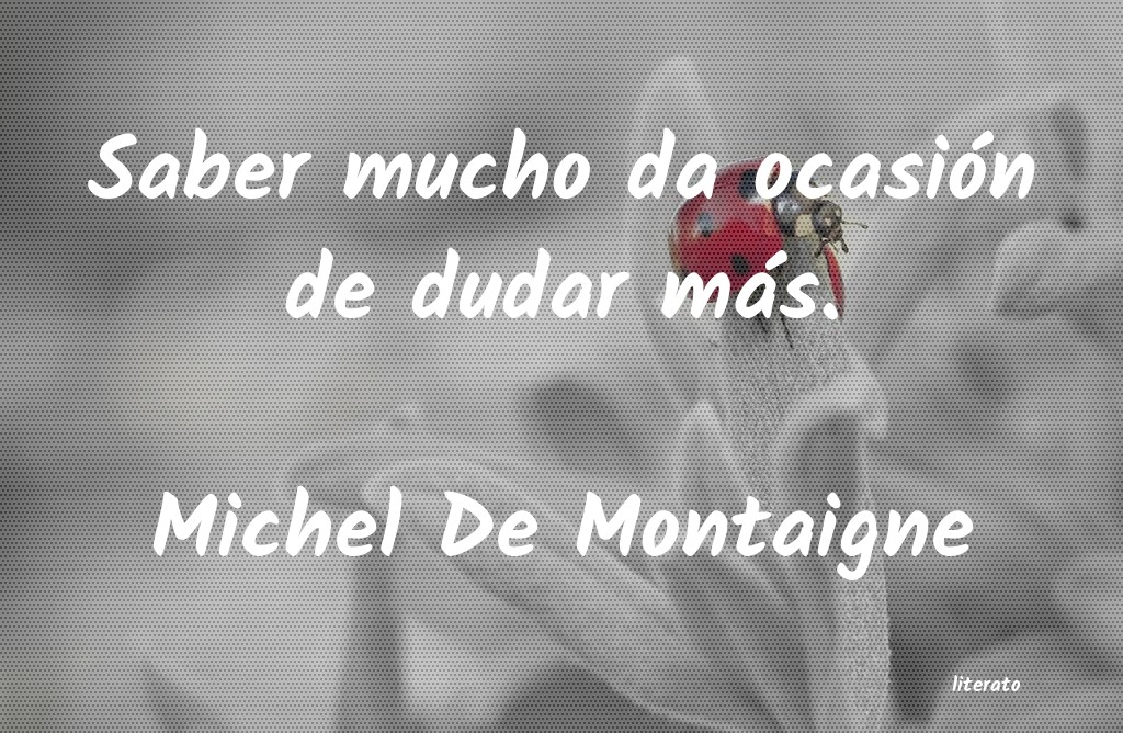 frases de Michel De Montaigne