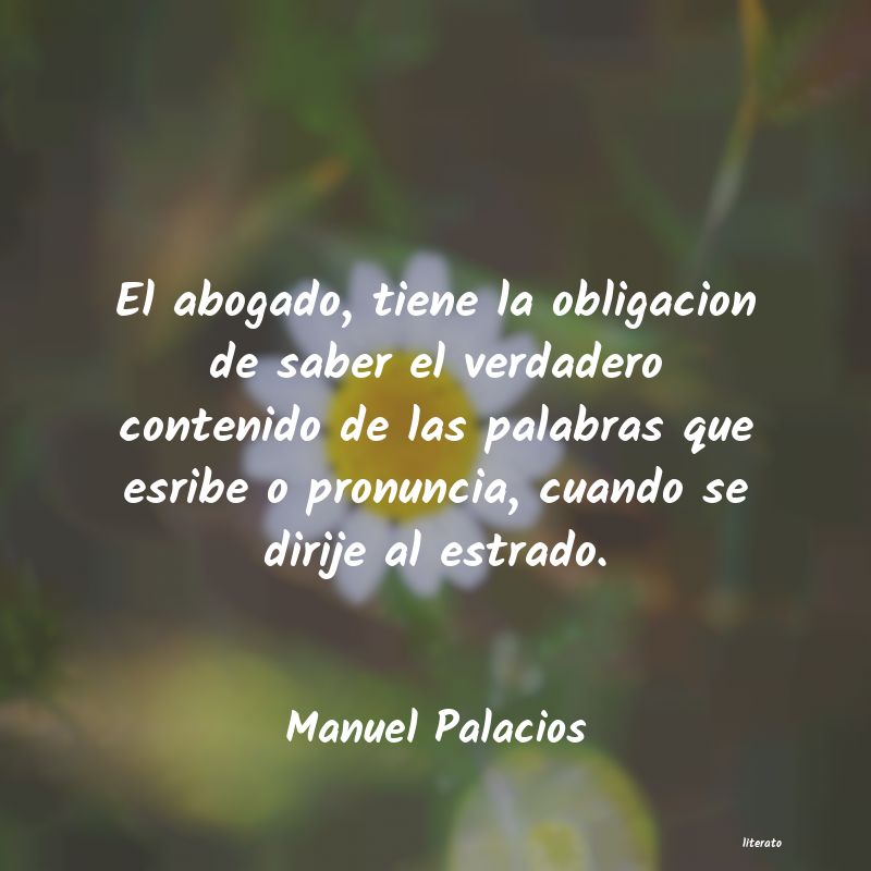 Frases de Manuel Palacios