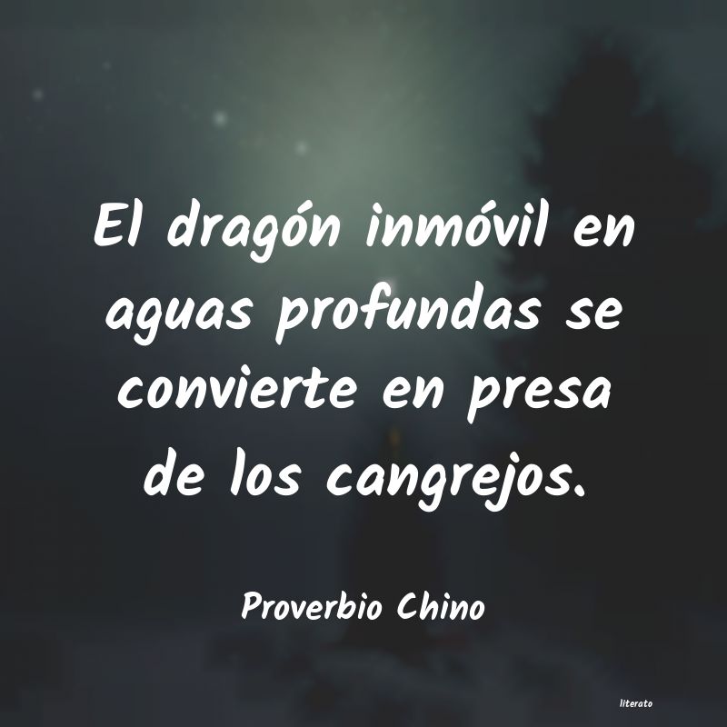 Frases de Proverbio Chino