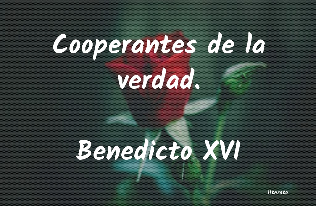 Frases de Benedicto XVI