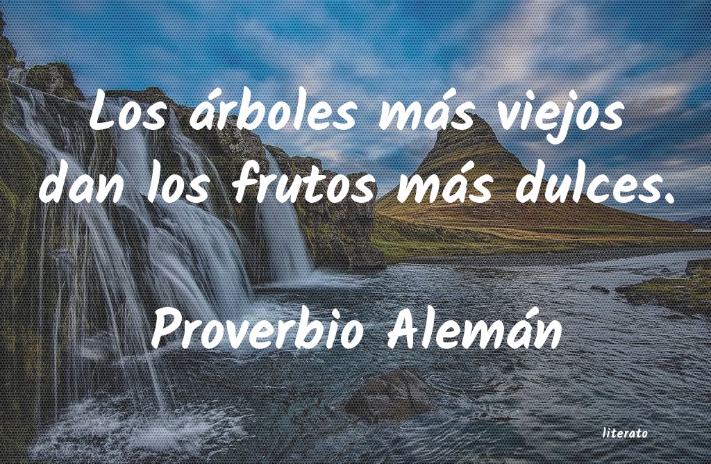 Frases de Proverbio Alemán